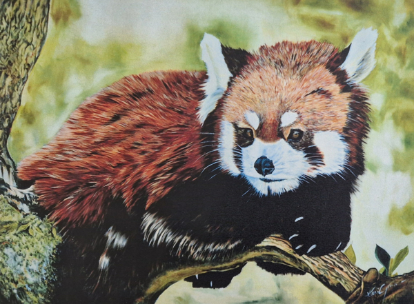 Karin Garstenauer - Ölgemälde