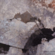 Petra Lupe - Printwork